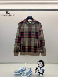 Picture of Burberry Hoodies _SKUBurberryXS-L24cr251893